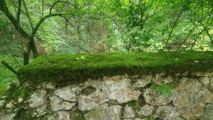 Noi si natura – Poezie