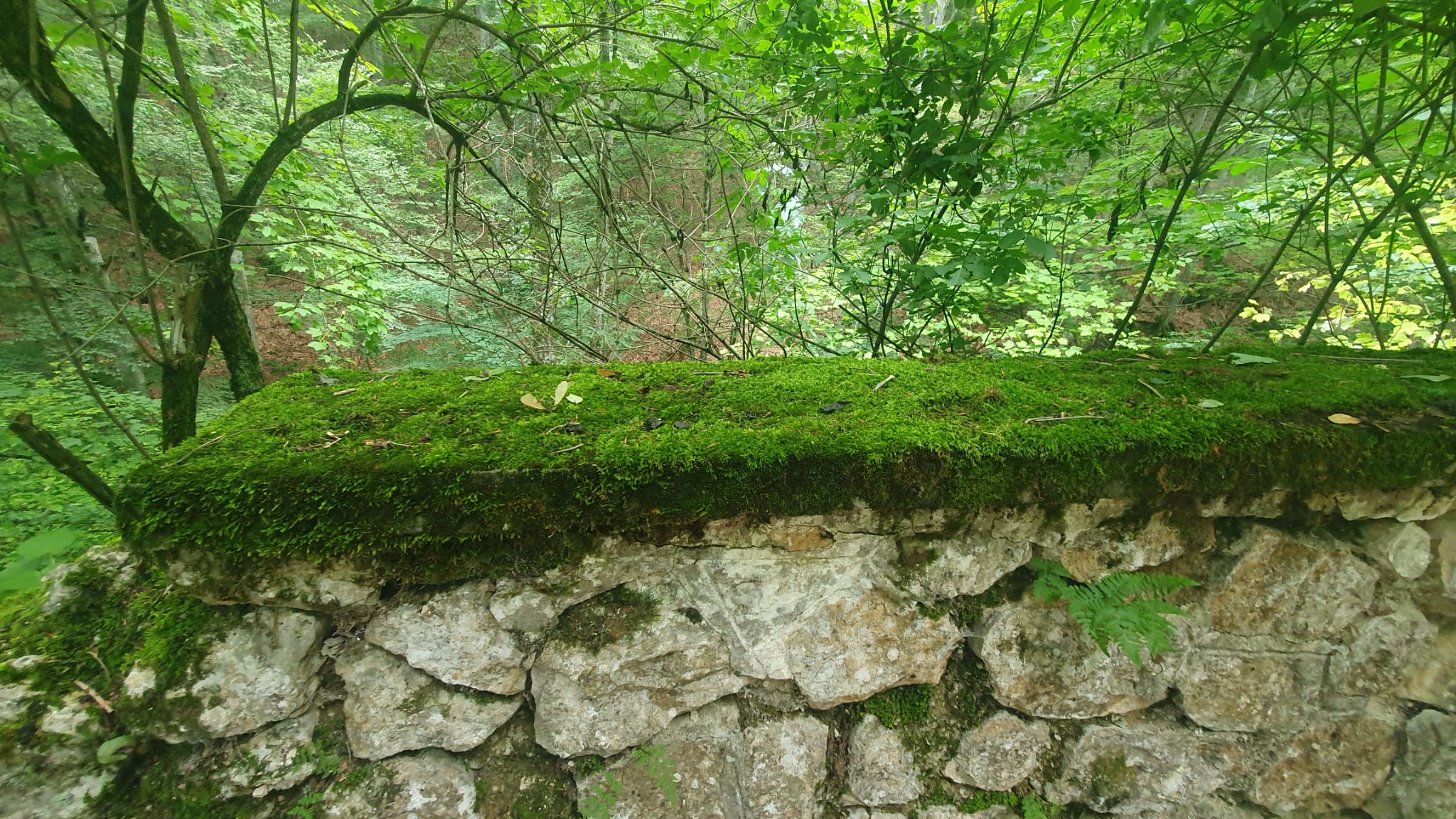 Noi si natura – Poezie