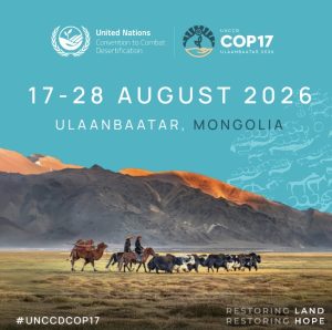 COP 17